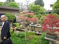 Bonsai