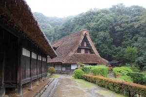 IMG_0984
